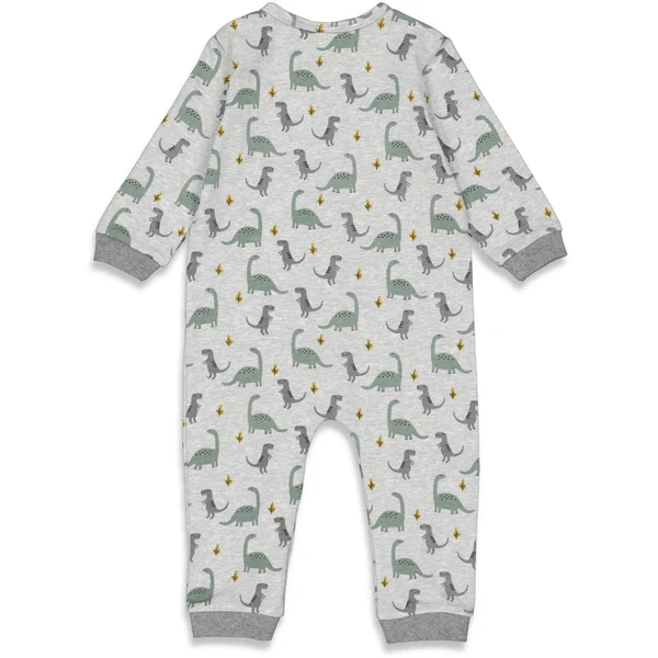 Feetje Slaap Overall Premium Dino Grijs GemĂȘleerd - Afbeelding 2