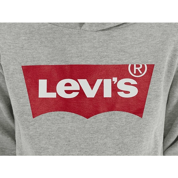 Levis Levi's® Kids Jongens Hoodie Lichtgrijs - Afbeelding 3