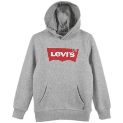Levis Levi's® Kids Jongens Hoodie Lichtgrijs