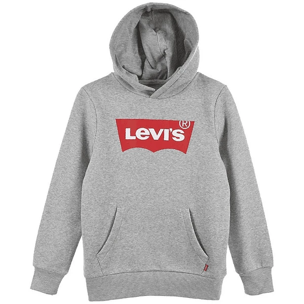 Levis Levi's® Kids Jongens Hoodie Lichtgrijs - Afbeelding 4