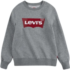 Levis Levi's® Kinder Sweatshirt Grijs